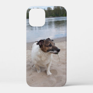 Capo von Oppenheim, Jack Russell Terrier Dog iPhone 12 Mini Case