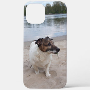 Capo von Oppenheim, Jack Russell Terrier Dog iPhone 12 Pro Max Case