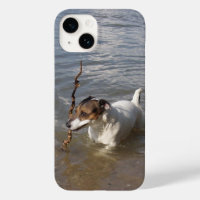 Capo von Oppenheim Jack Russell Terrier, Dog