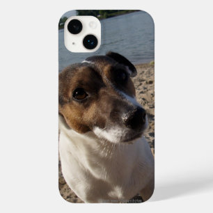 Capo von Oppenheim Jack Russell Terrier, Dog Case-Mate iPhone 14 Plus Case