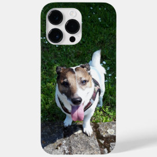Capo von Oppenheim Jack Russell Terrier, Dog Case-Mate iPhone 14 Pro Max Case