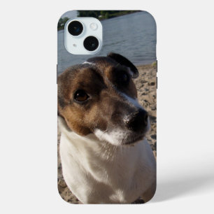 Capo von Oppenheim Jack Russell Terrier, Dog iPhone 15 Mini Case
