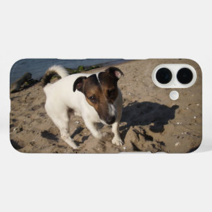 Capo von Oppenheim Jack Russell Terrier, Dog iPhone 16 Plus Case