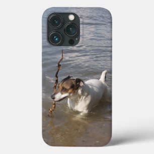Capo von Oppenheim Jack Russell Terrier, Dog iPhone 13 Pro Case