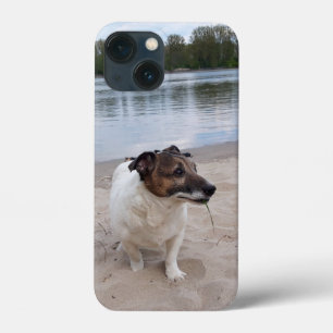 Capo von Oppenheim, Jack Russell Terrier Dog iPhone 13 Mini Case