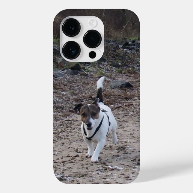 Capo von Oppenheim, Jack Russell Terrier Dog Case-Mate iPhone Case (Back)