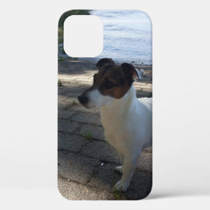 Capo von Oppenheim, Jack Russell Terrier Dog iPhone 12 Pro Case