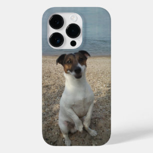 Capo von Oppenheim, Jack Russell Terrier Dog Case-Mate iPhone 14 Pro Case
