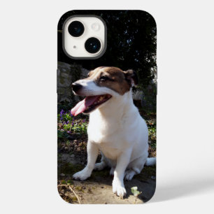 Capo von Oppenheim Jack Russell Terrier, Dog Case-Mate iPhone 14 Case