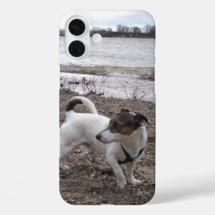 Capo von Oppenheim Jack Russell Terrier, Dog iPhone 16 Plus Case