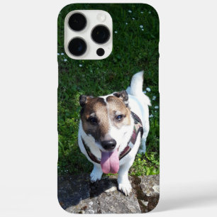 Capo von Oppenheim Jack Russell Terrier, Dog iPhone 16 Pro Max Case