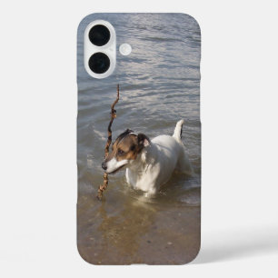 Capo von Oppenheim Jack Russell Terrier, Dog iPhone 16 Plus Case
