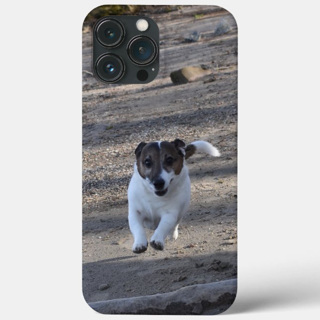 Capo von Oppenheim, Jack Russell Terrier Dog Case-Mate iPhone Case (Back)