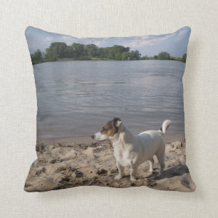 Capo von Oppenheim Jack Russell Terrier, Dog Cushion