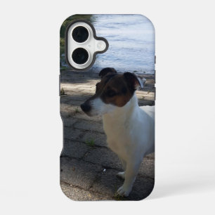 Capo von Oppenheim, Jack Russell Terrier Dog iPhone 16 Case