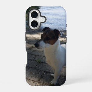 Capo von Oppenheim, Jack Russell Terrier Dog iPhone 16 Case