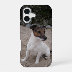 Capo von Oppenheim Jack Russell Terrier, Dog iPhone 16 Case