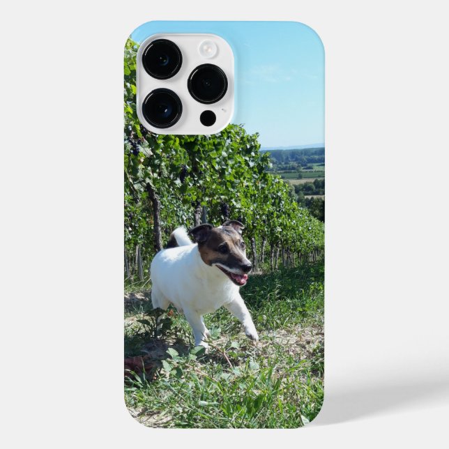 Capo von Oppenheim Jack Russell Terrier, Dog iPhone Case (Back)