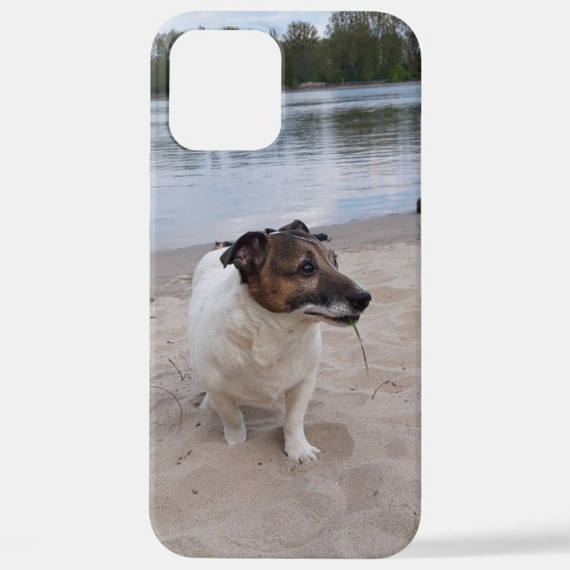 Capo von Oppenheim, Jack Russell Terrier Dog iPhone Case (Back)
