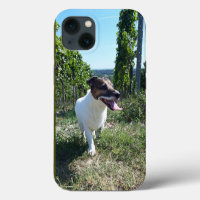 Capo von Oppenheim Jack Russell Terrier, Dog