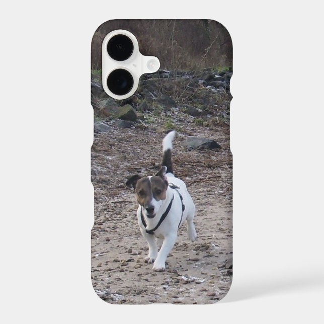 Capo von Oppenheim, Jack Russell Terrier Dog iPhone Case (Back)