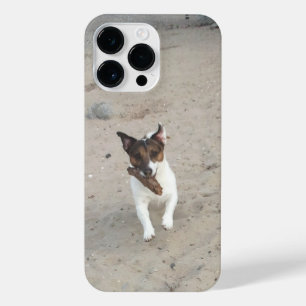 Capo von Oppenheim, Jack Russell Terrier Dog iPhone 14 Pro Max Case