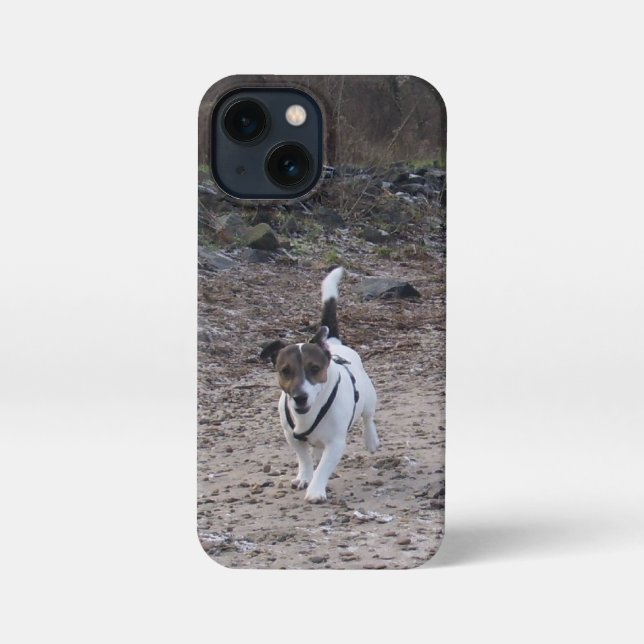 Capo von Oppenheim, Jack Russell Terrier Dog iPhone Case (Back)