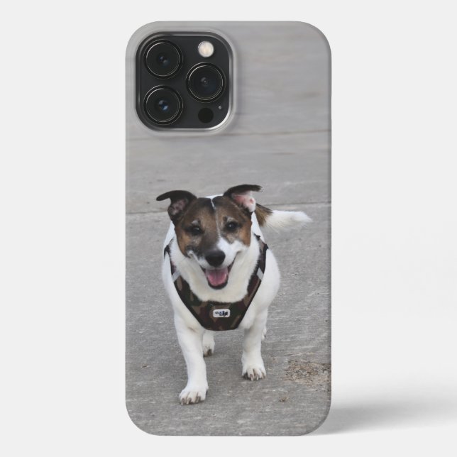 Capo von Oppenheim, Jack Russell Terrier Dog iPhone Case (Back)