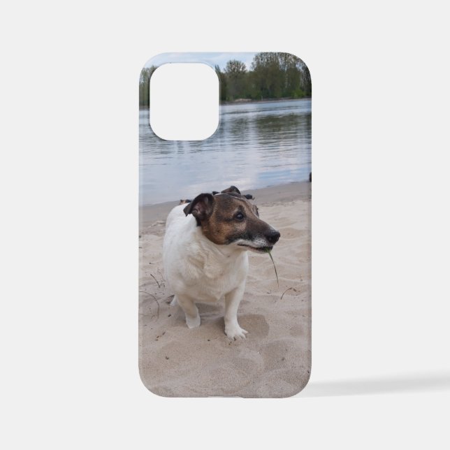 Capo von Oppenheim, Jack Russell Terrier Dog iPhone Case (Back)