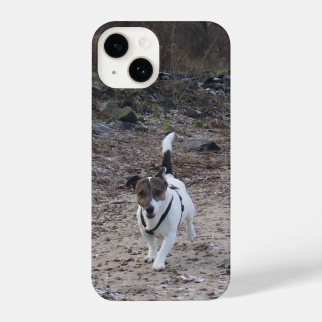 Capo von Oppenheim, Jack Russell Terrier Dog iPhone Case (Back)