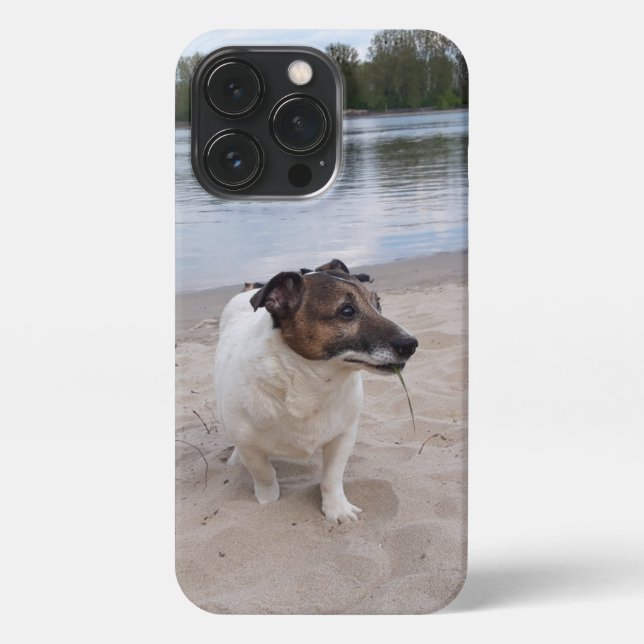 Capo von Oppenheim, Jack Russell Terrier Dog iPhone Case (Back)