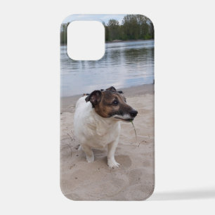 Capo von Oppenheim, Jack Russell Terrier Dog iPhone 12 Pro Case