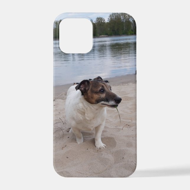 Capo von Oppenheim, Jack Russell Terrier Dog iPhone Case (Back)