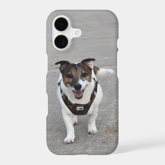 Capo von Oppenheim, Jack Russell Terrier Dog iPhone Case (Back)