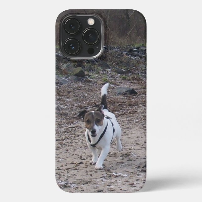 Capo von Oppenheim, Jack Russell Terrier Dog iPhone Case (Back)