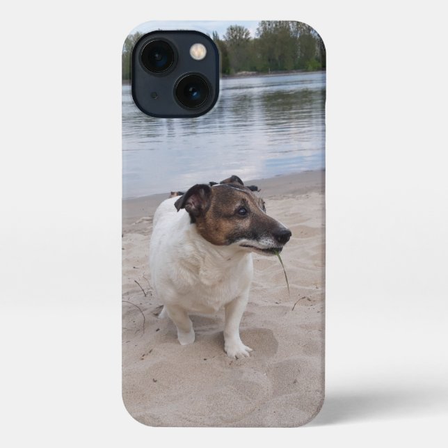 Capo von Oppenheim, Jack Russell Terrier Dog iPhone Case (Back)