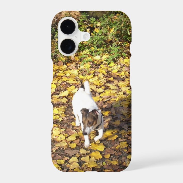 Capo von Oppenheim, Jack Russell Terrier Dog iPhone Case (Back)