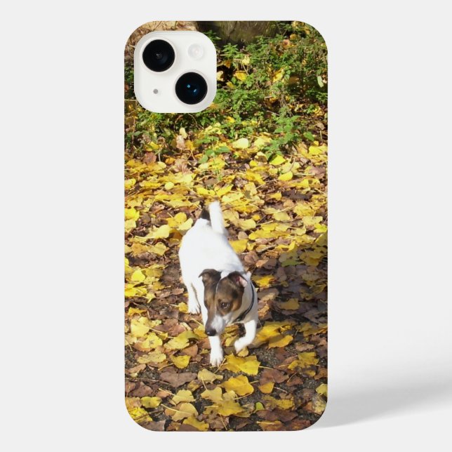 Capo von Oppenheim, Jack Russell Terrier Dog iPhone Case (Back)
