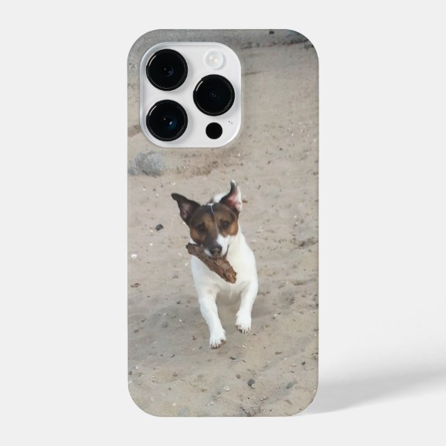 Capo von Oppenheim, Jack Russell Terrier Dog iPhone Case (Back)