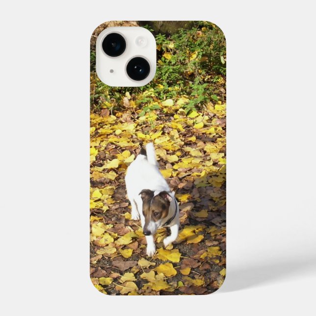 Capo von Oppenheim, Jack Russell Terrier Dog iPhone Case (Back)