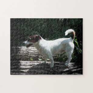 Capo von Oppenheim Jack Russell Terrier, Dog Jigsaw Puzzle