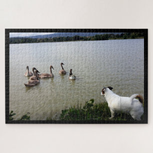 Capo von Oppenheim, Jack Russell Terrier Dog Jigsaw Puzzle