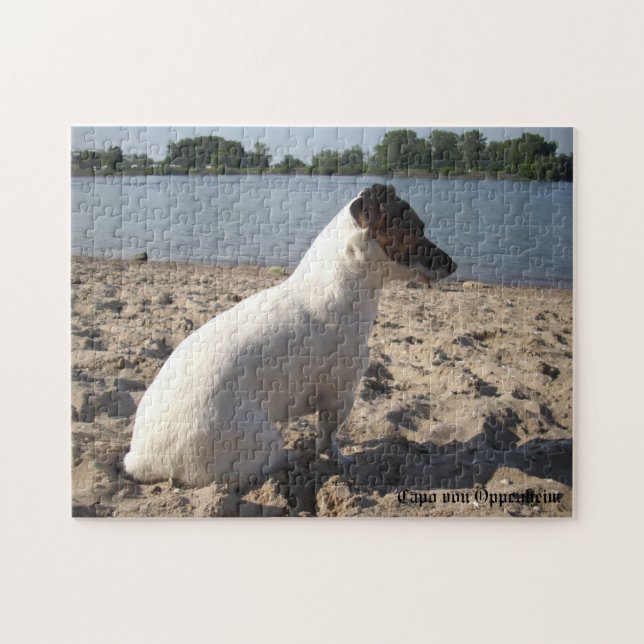 Capo von Oppenheim, Jack Russell Terrier Dog Jigsaw Puzzle (Horizontal)