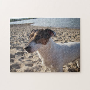 Capo von Oppenheim, Jack Russell Terrier Dog Jigsaw Puzzle