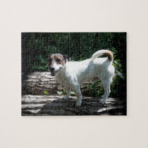 Capo von Oppenheim Jack Russell Terrier, Dog Jigsaw Puzzle