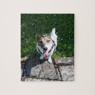Capo von Oppenheim Jack Russell Terrier, Dog Jigsaw Puzzle