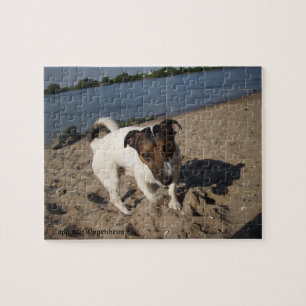 Capo von Oppenheim, Jack Russell Terrier Dog Jigsaw Puzzle