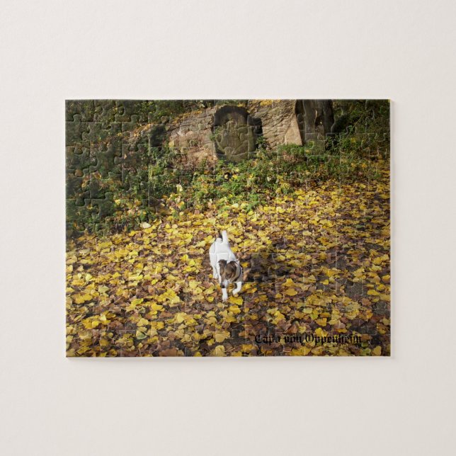 Capo von Oppenheim, Jack Russell Terrier Dog Jigsaw Puzzle (Horizontal)