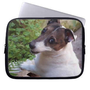Capo von Oppenheim Jack Russell Terrier, Dog Laptop Sleeve
