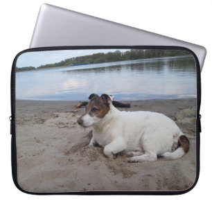 Capo von Oppenheim Jack Russell Terrier, Dog Laptop Sleeve